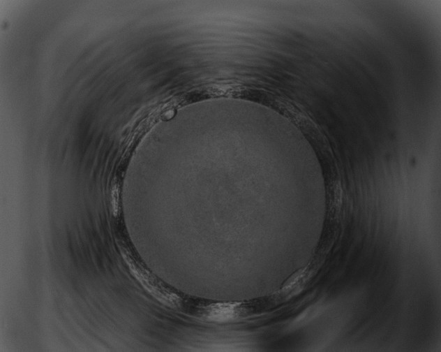 X0000051880090200507020041