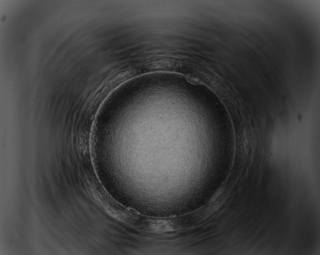 X0000051880091200507020041