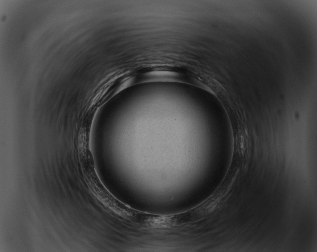 X0000051880092200507020041