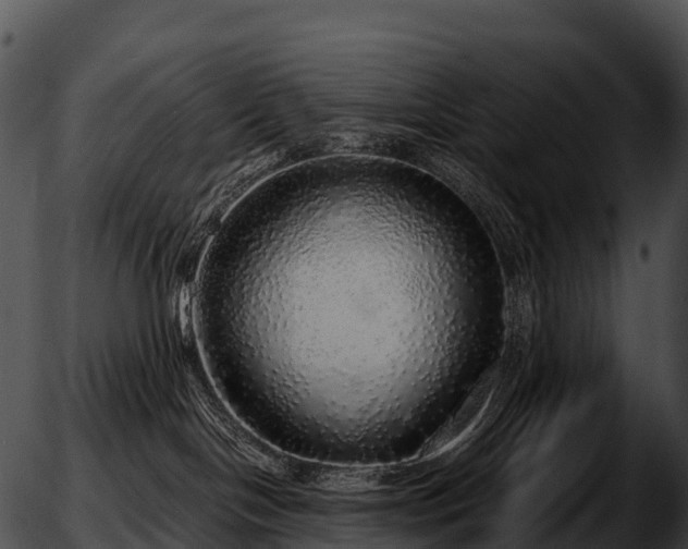 X0000051880094200507020042