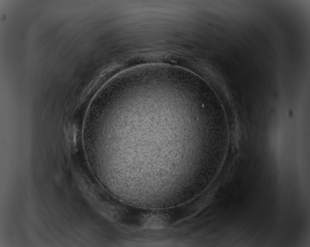 X0000051880115200507020040