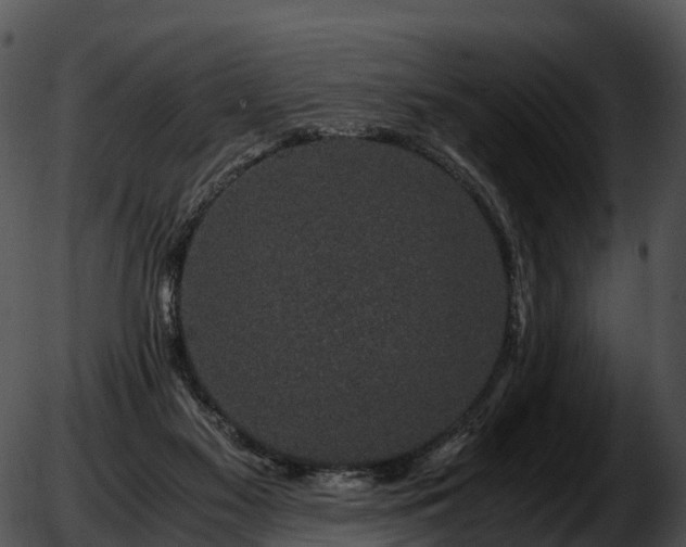 X0000051880117200507020040