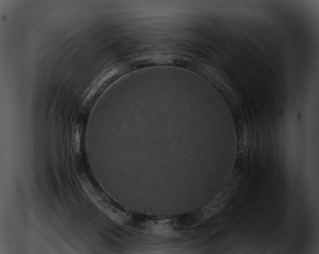 X0000051880120200507020040