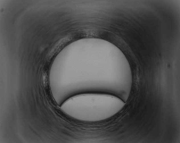 X0000051880123200507020040