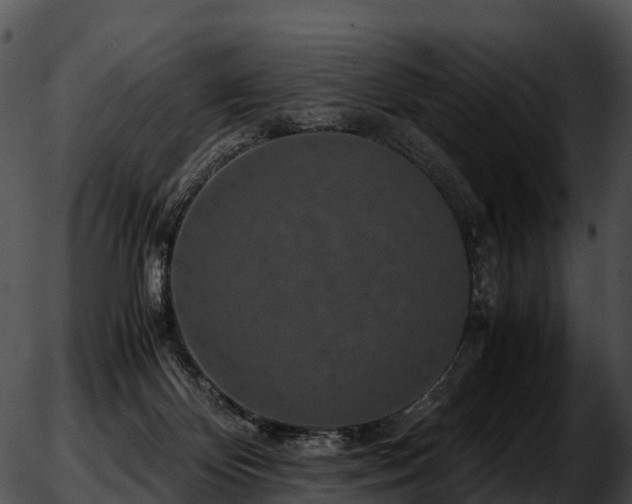 X0000051880124200507020040