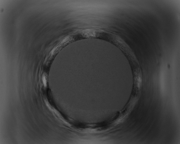 X0000051880125200507020040