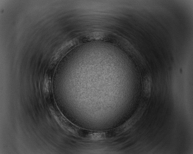 X0000051880126200507020040