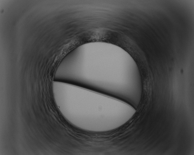X0000051880127200507020040