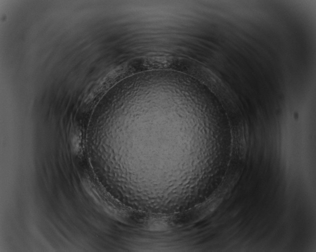 X0000051880134200507020040