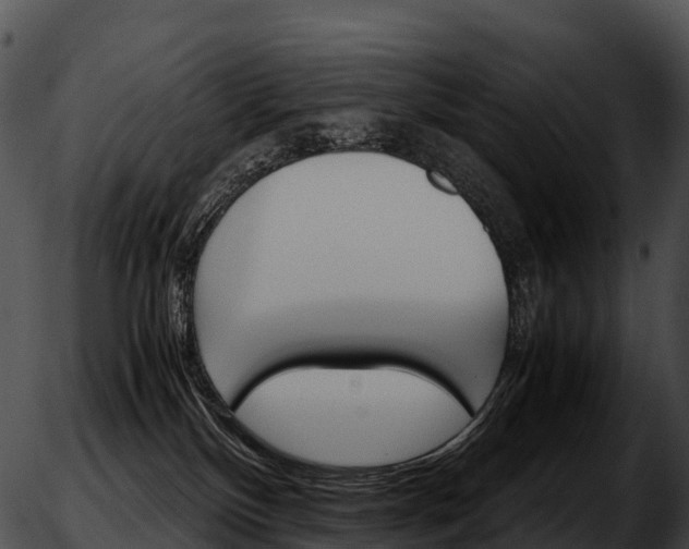 X0000051880136200507020040