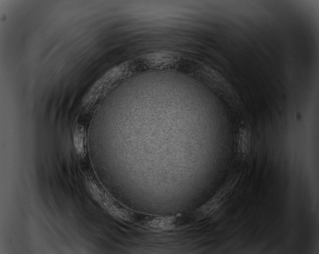 X0000051880138200507020040