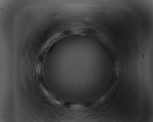 X0000051880139200507020040