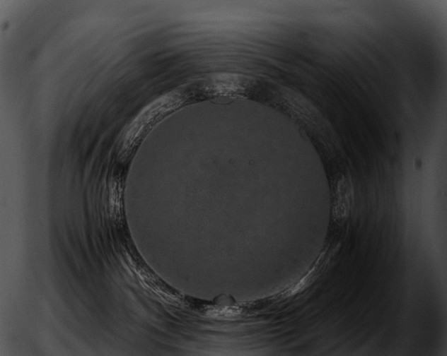 X0000051880140200507020040