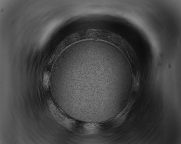 X0000051880142200507020040
