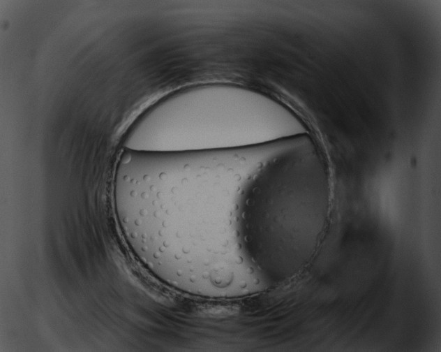 X0000051880155200507020039