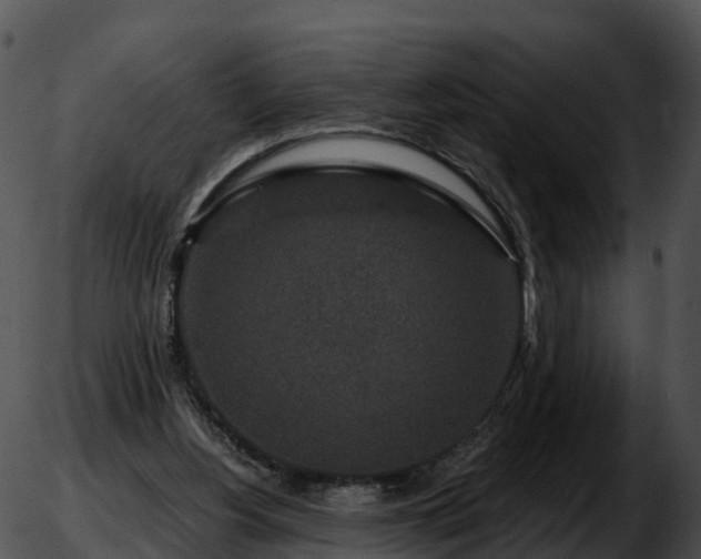 X0000051880156200507020039