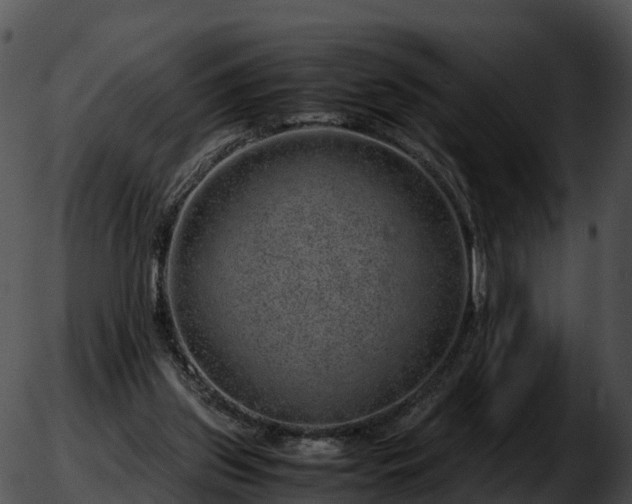 X0000051880157200507020039