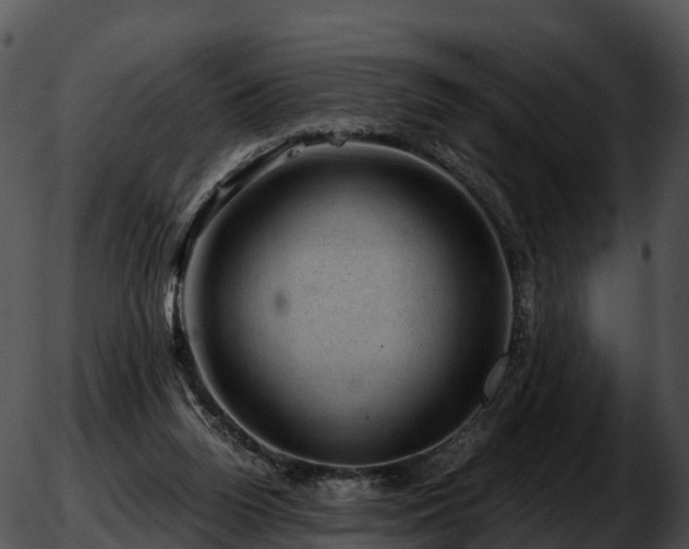 X0000051880160200507020039