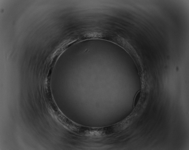 X0000051880163200507020039