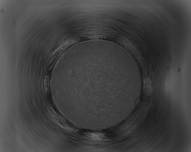 X0000051880165200507020040