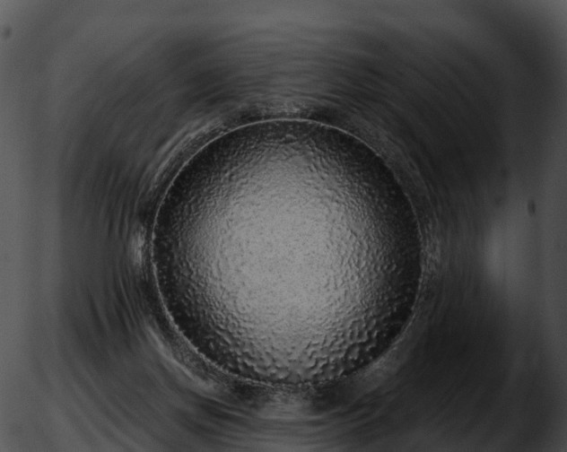 X0000051880166200507020040