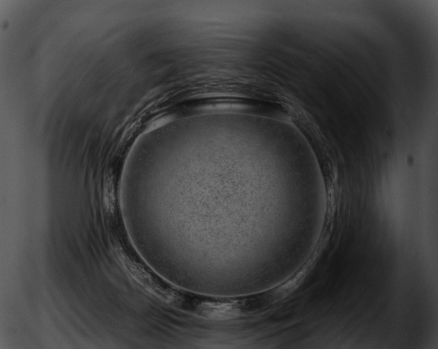 X0000051880170200507020040