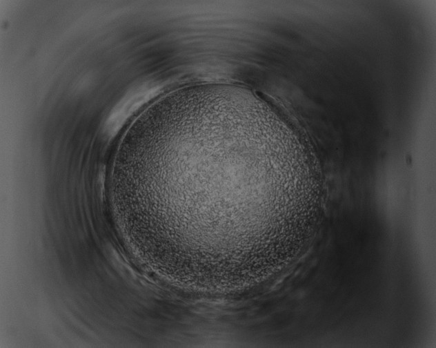 X0000051880194200507020039