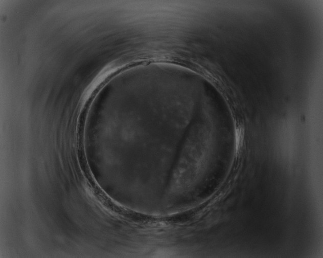 X0000051880195200507020039