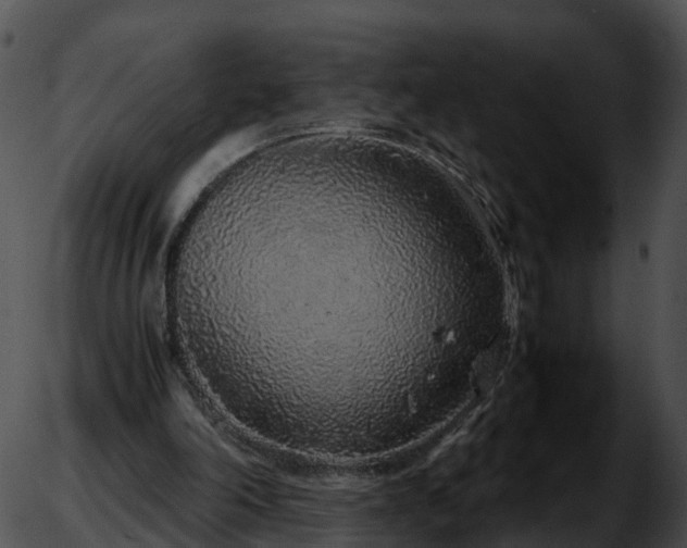 X0000051880198200507020039