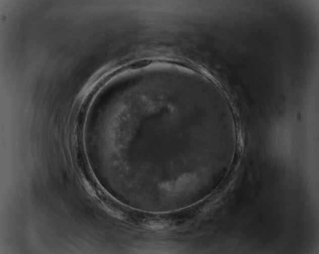 X0000051880199200507020039