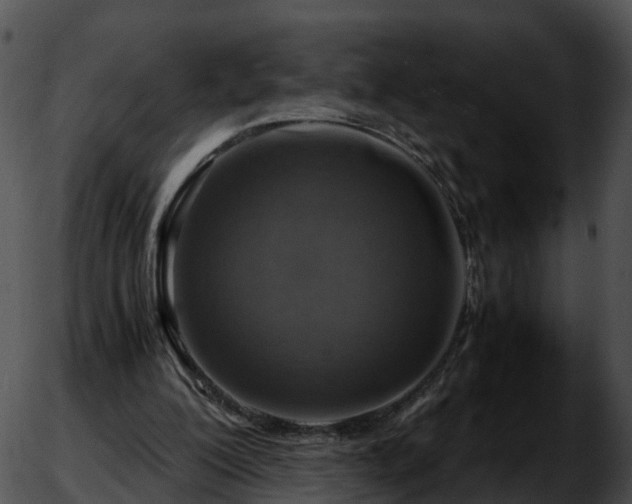 X0000051880200200507020039