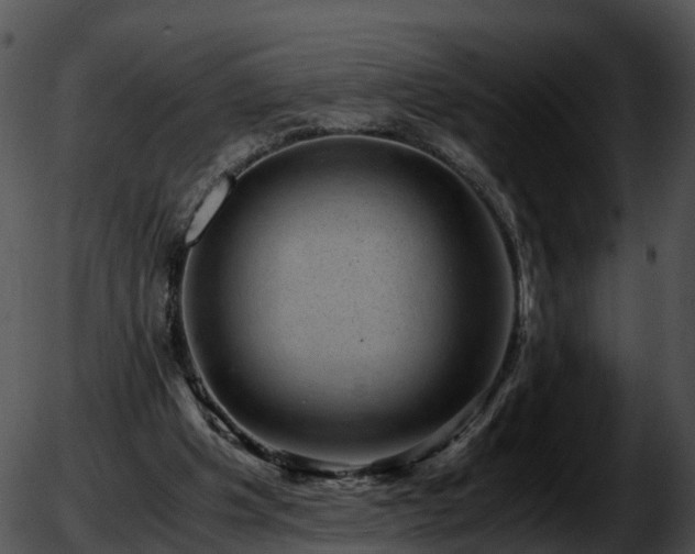 X0000051880201200507020039