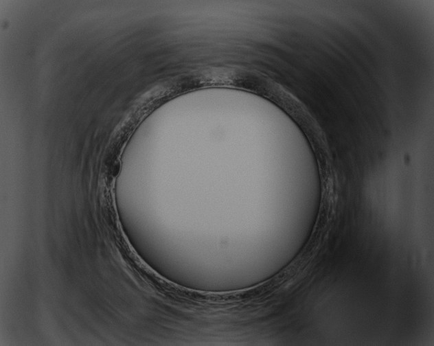 X0000051880209200507020039