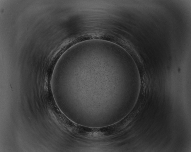 X0000051880212200507020039