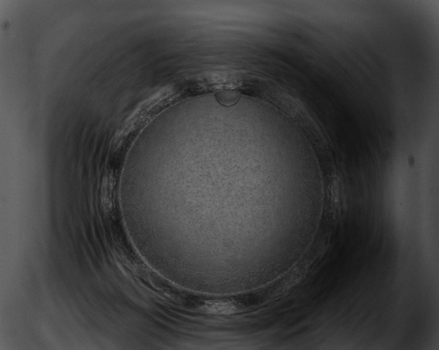 X0000051880218200507020039