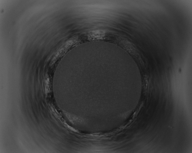 X0000051880224200507020039