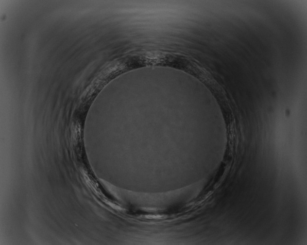 X0000051880225200507020039