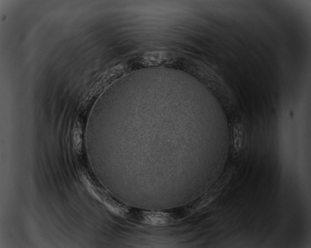 X0000051880226200507020039