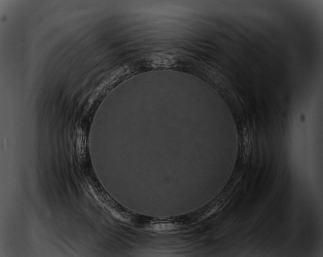 X0000051880228200507020039