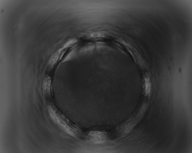 X0000051880231200507020039