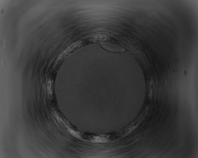 X0000051880232200507020039