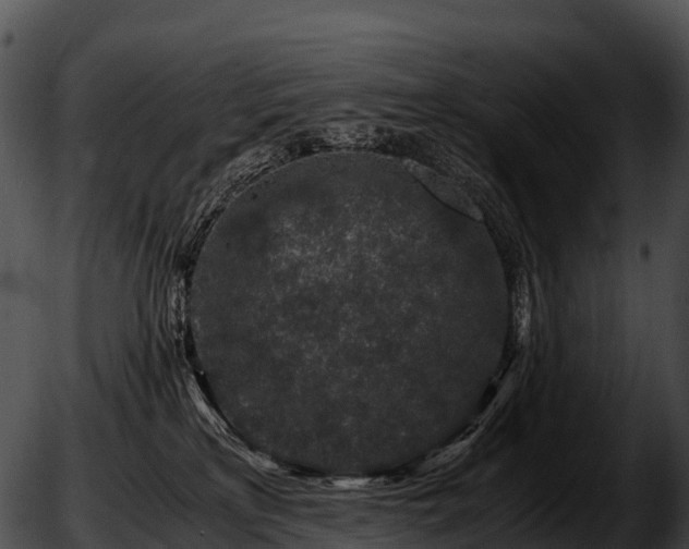 X0000051880233200507020039