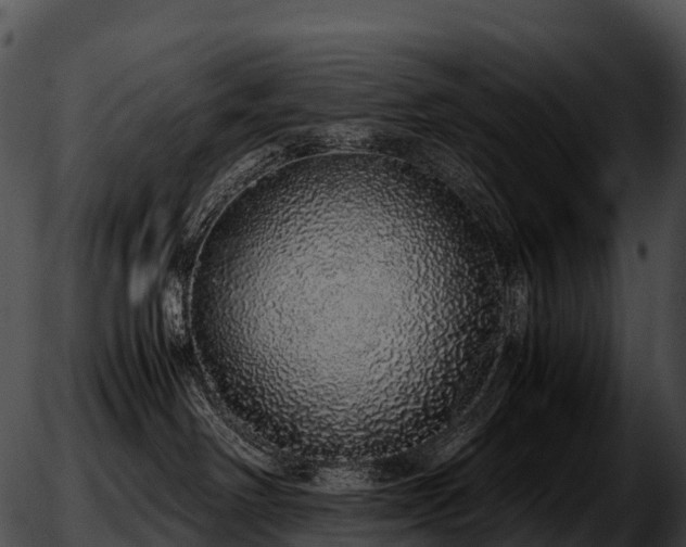 X0000051880238200507020038