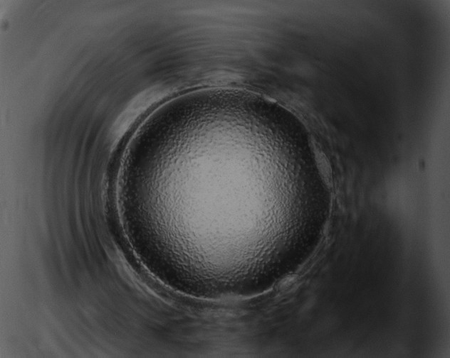 X0000051880242200507020038