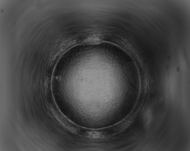 X0000051880265200507020038