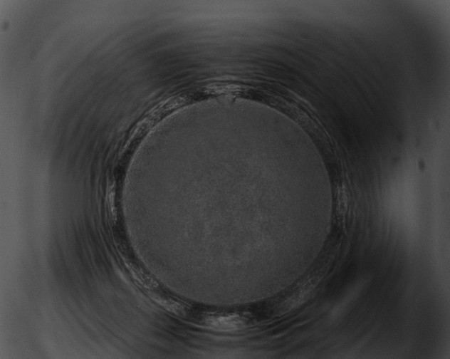 X0000051880267200507020038
