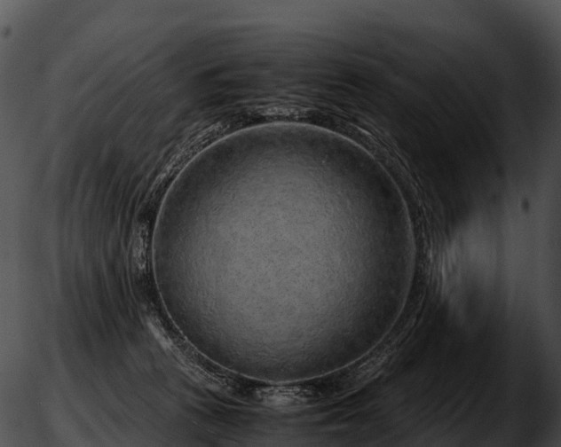 X0000051880273200507020038
