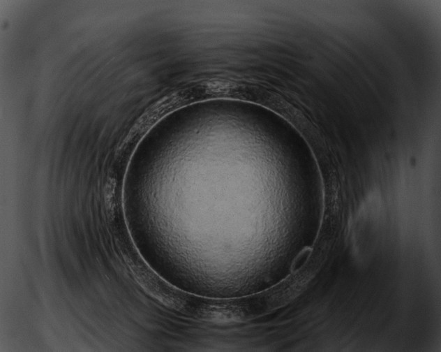 X0000051880275200507020038