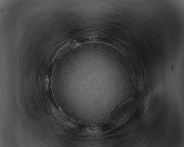 X0000051880279200507020038