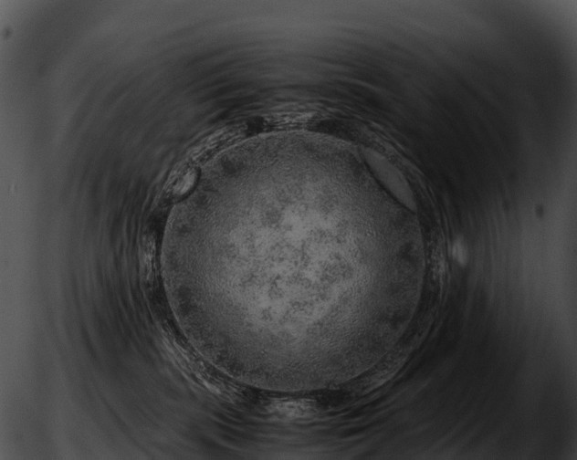 X0000051880283200507020038